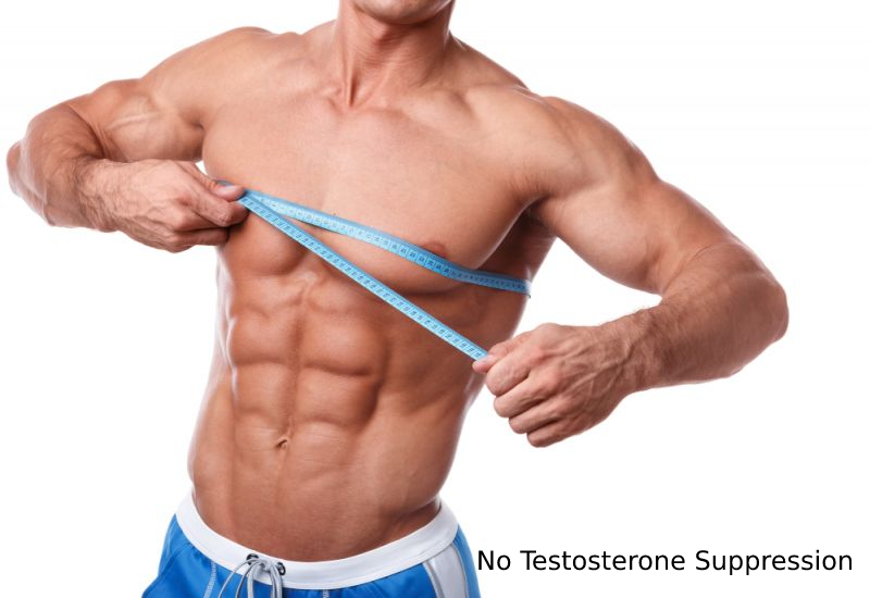 No Testosterone Suppression